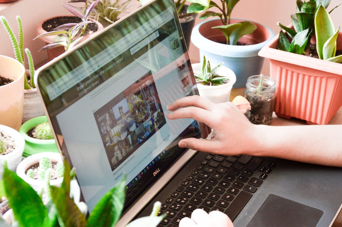 Menjual GIF Animasi Menjual GIF Animasi